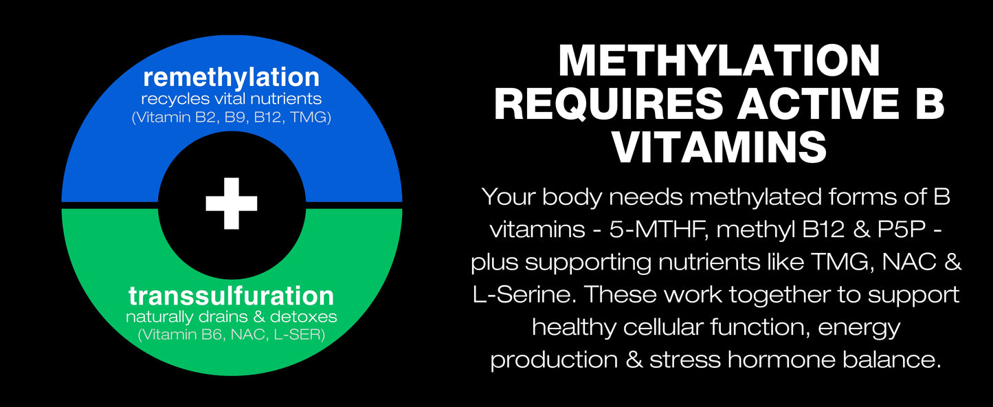 euMethyl-B, 180 Capsules