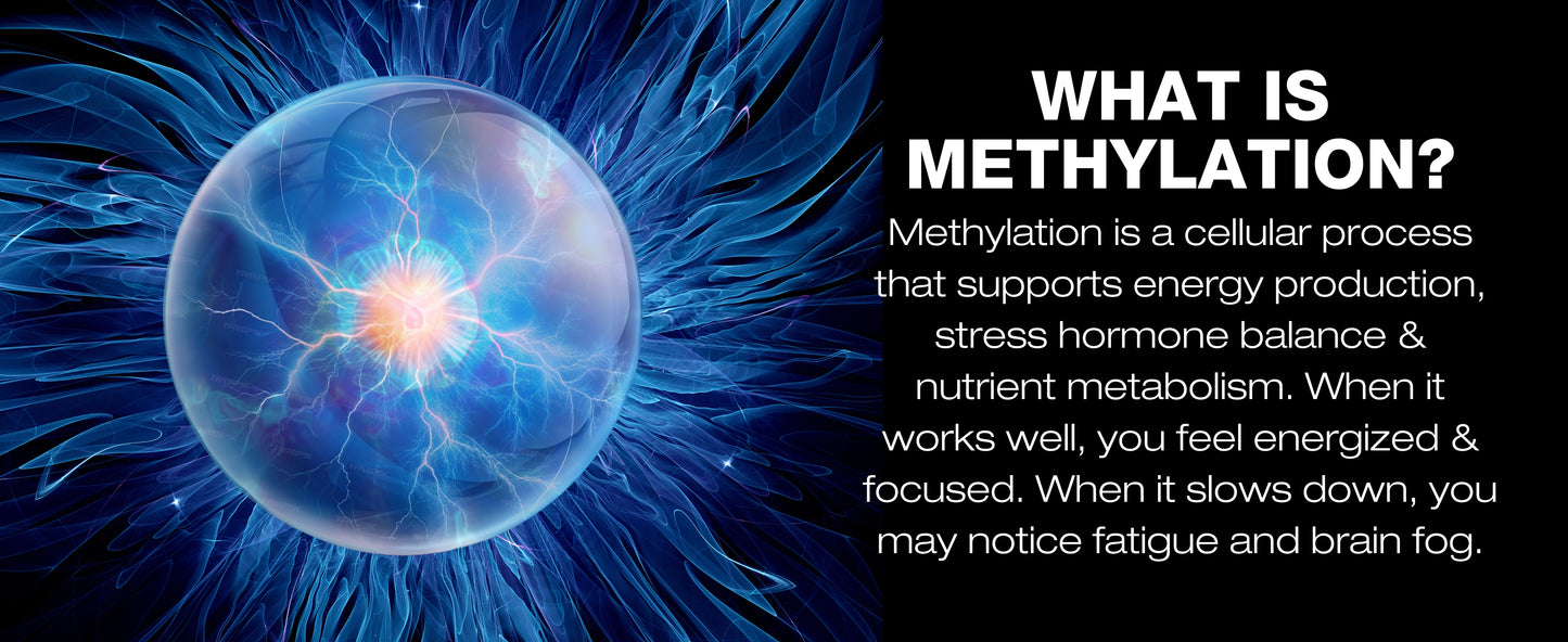 euMethyl-B, 180 Capsules